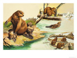 The Busy Beavers