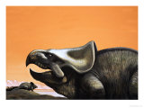 Protoceratops