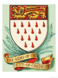 Coat of Arms For the City of Chichester