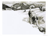 So That's Why, These Mountain Dogs Are Called St. Bernards