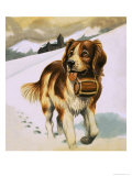St Bernard's Dog