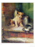Buy Spilt Milk at AllPosters.com