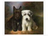Buy Scottish and a Sealyham Terrier at AllPosters.com