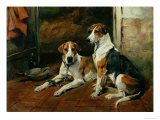 Buy Hounds in a Stable Interior at AllPosters.com