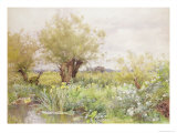 Near Shiplake