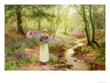 Buy The Bluebell Glade at AllPosters.com