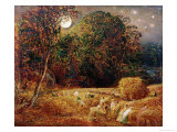 Buy Harvest Moon at AllPosters.com