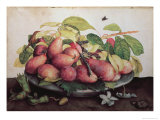 Buy Pears with Hawthorns at AllPosters.com