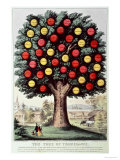 The Tree of Temperance, 1872