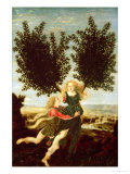 Daphne and Apollo, c.1470-80