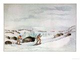 Hunting Buffalo on Snow-Shoes