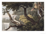 Buy Mexican Lizard Catcher, Engraved by Matthew Dubourg at AllPosters.com