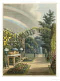 Buy Sunshine After Rain, from Fragments on the Theory and Practice of Landscape Gardening, c.1816 at AllPosters.com