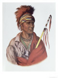 Buy Notchimine, an Iowa Chief, The Indian Tribes of North America, c.1837 at AllPosters.com