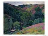 Buy The Valley of the Sedelle, 1897 at AllPosters.com