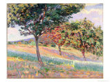 Buy Orchard at St. Cheron, 1893 at AllPosters.com