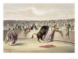 Buy The Bull Leaping the Barriers, 1865 at AllPosters.com