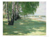 The Garden of the Artist in Wannsee, 1918