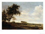 Buy Wooded Landscape at AllPosters.com