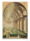 Buy Citrus Trees in a Hothouse, Hesperides by Giovanni Battista Ferrari, Engraved Cammillo Congio at AllPosters.com