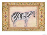 Zebra, from the 'Minto Album', 1621