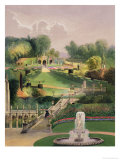 Buy The Garden on the Hill Side, Castle Combe, from 'The Garden's of England', Published 1857 at AllPosters.com