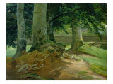 Buy Beech Trees in Frederiksdal Near Copenhagen, 1828 at AllPosters.com
