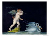 Cupid Being Led by a Pair of Swans