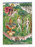 The Creation and the Temptation of Adam and Eve, c.1491