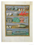 Buy Illustration from the Book of Simple Medicines by Mattheaus Platearius at AllPosters.com
