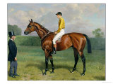 Ormonde, Winner of the 1886 Derby, 1886 Giclee Print