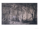 Buy Virgin Forest on the Edge of the Blue Nile at AllPosters.com