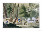 Buy Papu Tribe on the Isle of Rawak, Plate 20, Le Costume Ancien et Moderne, c.1820-30 at AllPosters.com