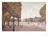 Buy Schonbrunn Garden, Engraved by Johann Ziegler at AllPosters.com