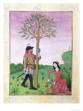 Buy Lavender, Hellebore, and a Relative of the Cucumber Family, Book of Simple Medicines at AllPosters.com