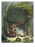 Buy View of a Puri Cabin in Brazil, c.1820 at AllPosters.com