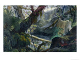 Buy Valley in the Serra Do Mar, Voyage Pittoresque et Historique Au Bresil by Debret at AllPosters.com