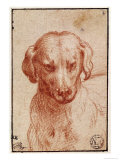Buy Head of a Dog at AllPosters.com