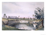 Buy Messrs' Arthur's Sheep Station. Mount Schank in Distance, South Australia Illustrated, c.1847 at AllPosters.com