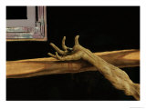 Buy Crucifixion from the Isenheim Altarpiece, Detail of Christ's Right Hand, c.1512-16 at AllPosters.com