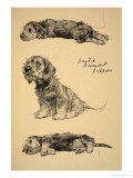 Buy Dandie Dinmont Puppies, 1930, Just Among Friends, Aldin, Cecil Charles Windsor at AllPosters.com