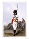 Grenadier of the First West York Militia, c.1814