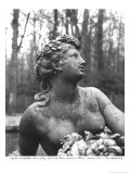 Buy Flora at AllPosters.com