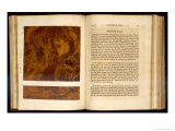 Buy Birds Eye Maple, Plate XIII from Imitation of Wood, 1827 at AllPosters.com