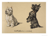 West Highlander and Scotch, 1930, Just Among Friends, Aldin, Cecil Charles Windsor