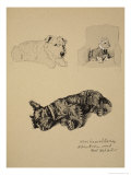Wire-Haired Terrier, Aberdeen and West Highlander, 1930, Just Among Friends, Aldin, c.C. Windsor