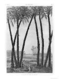 Buy View of the Ruins of Memphis Seen from the South East, Engraved by Jean Louis Delignon at AllPosters.com