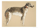 Borzoi, 1930, from His Sketch Book Used For Just Among Friends, Aldin, Cecil Charles Windsor