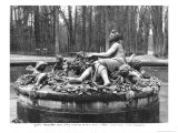 Buy Group of Flora at AllPosters.com