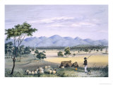 Lynedoch Valley Looking Towards the Barossa Range, South Australia Illustrated, Pub. in 1847